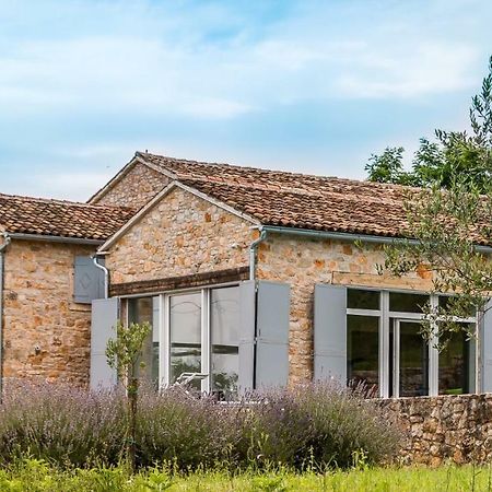 Tenuta Paljari Vizinada Ngoại thất bức ảnh